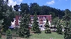 Кипарис Снимка 0