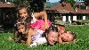 Geshaview Снимка 14