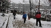 Geshaview Снимка 17