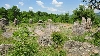 Тракийски култов мегалитен кромлех - с. Долни Главанак Снимка 1