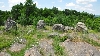 Тракийски култов мегалитен кромлех - с. Долни Главанак Снимка 2