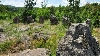 Тракийски култов мегалитен кромлех - с. Долни Главанак Снимка 3