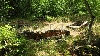 Могилен некропол местност Пропада Снимка 1